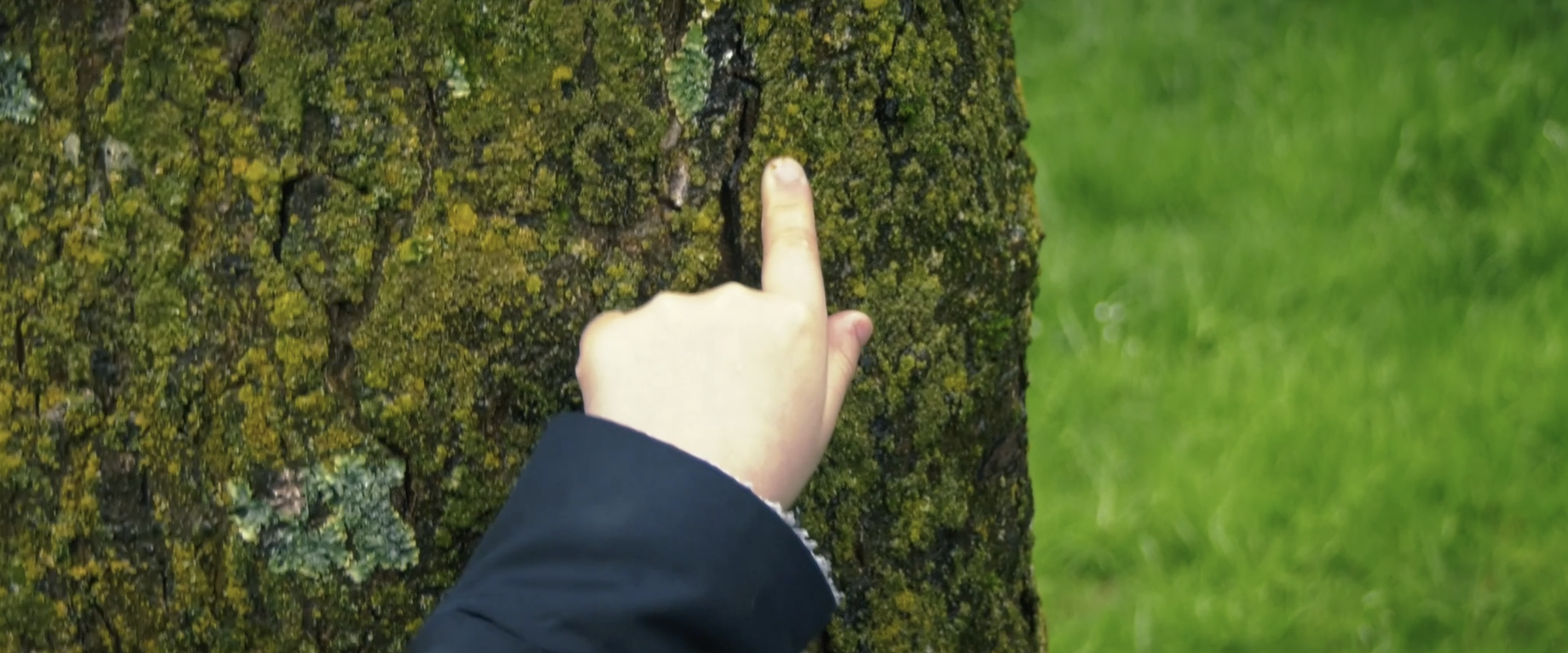 Photogramme du film Le cycle