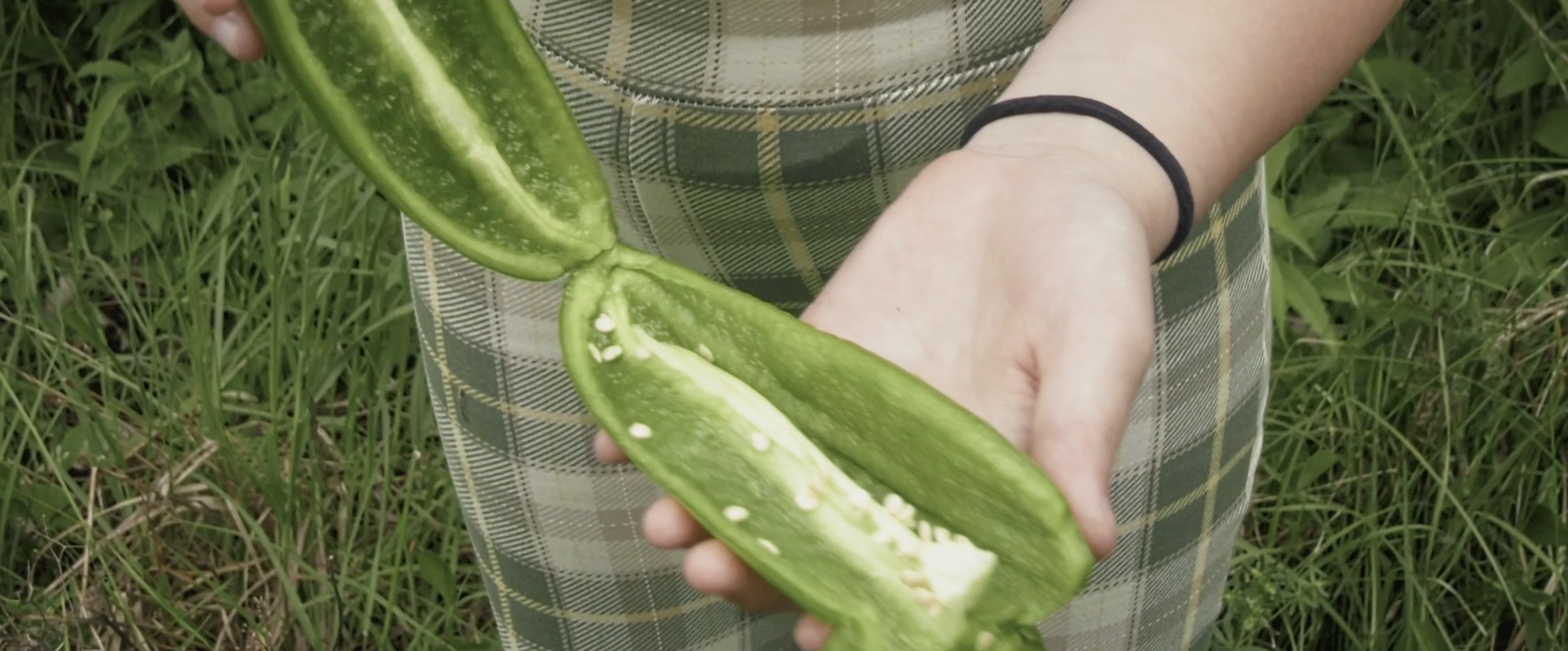 Photogramme du film Le cycle