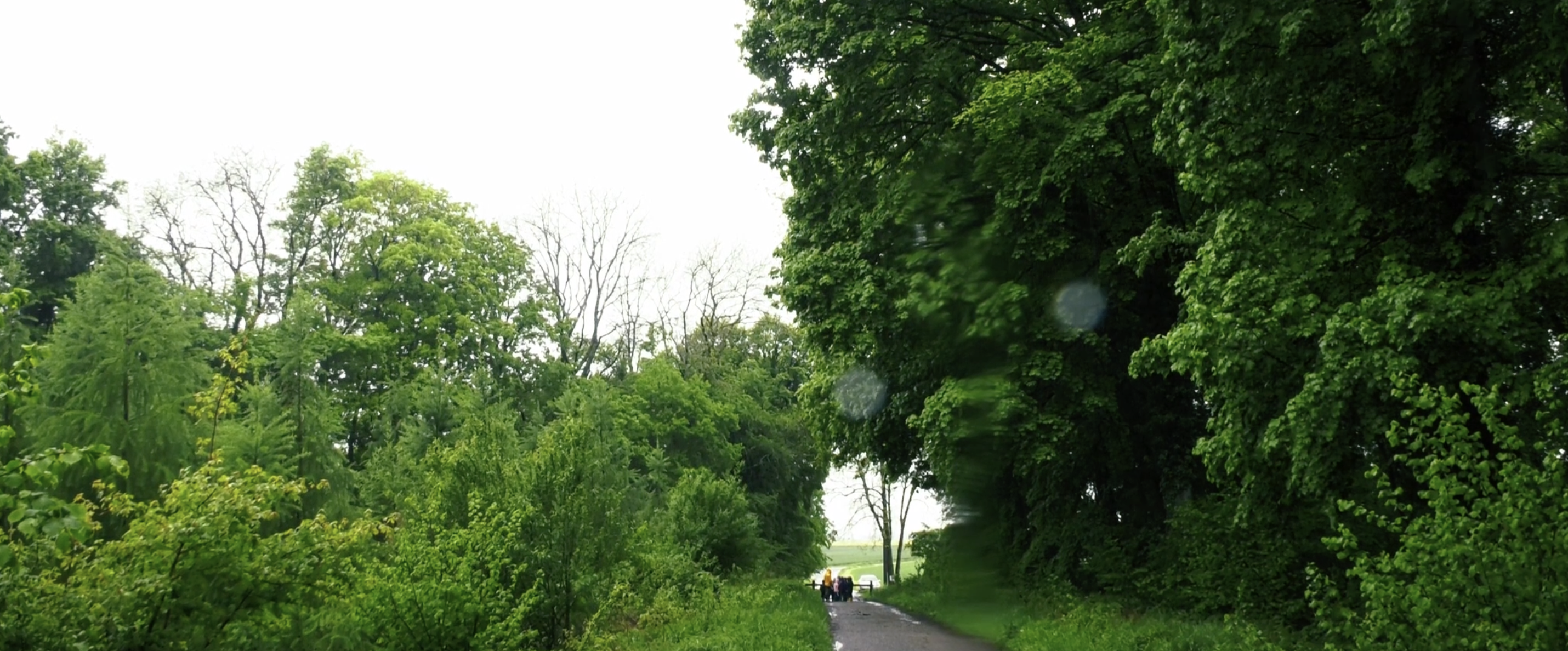 Photogramme du film Le cycle