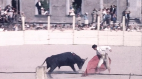 La corrida de Toul (54)
