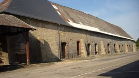 Les Salines Royales de Dieuze (803* – 1973**)