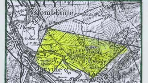 La saline de Jarville
