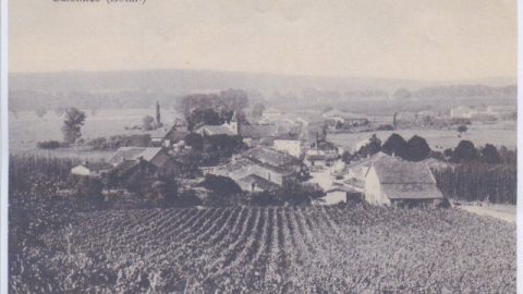 Salonnes