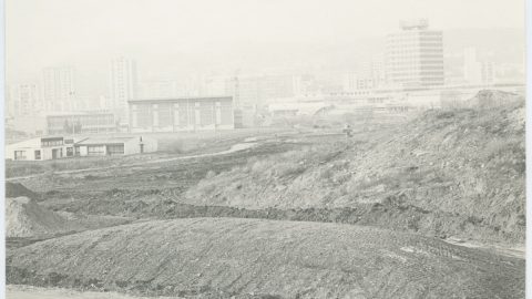 Parc Richard pouille
