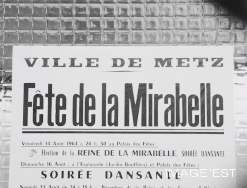 La fête de la mirabelle de Metz (57)