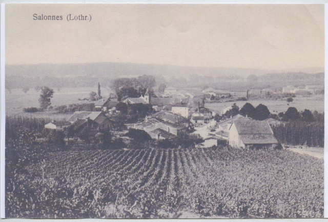 Salonnes