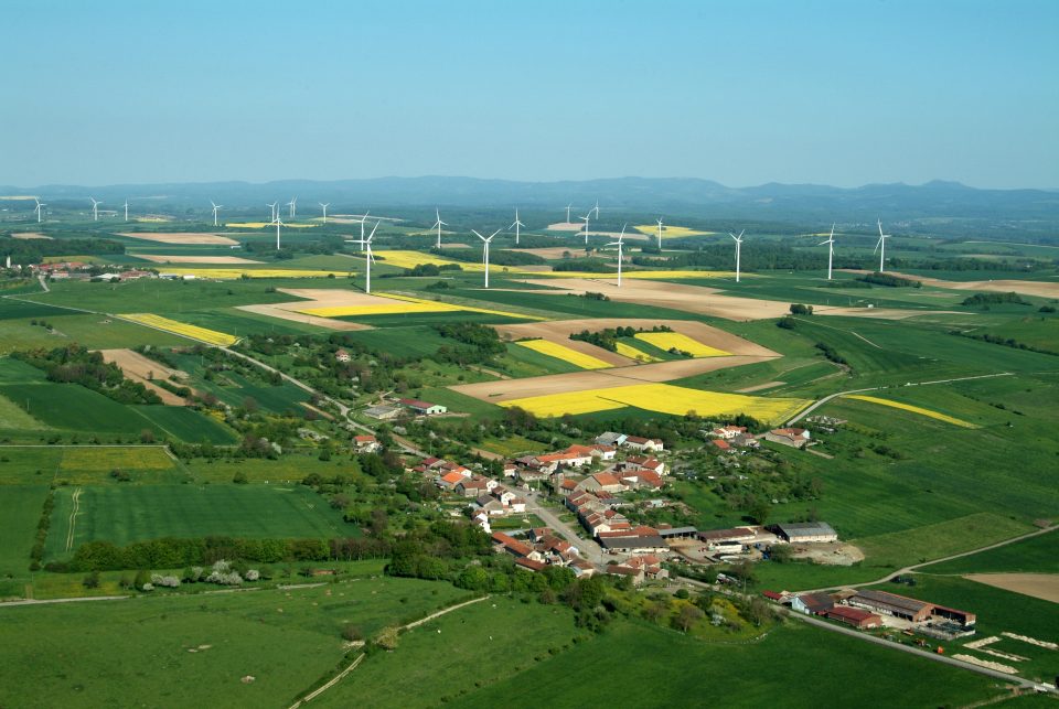 Faune, flore et paysages