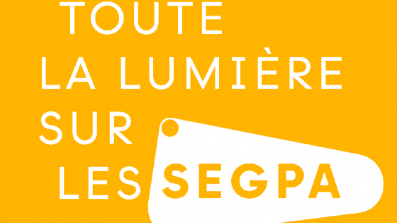 Toutes les lumières sur les SEGPA 