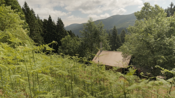 Avant-première du film "Le recours aux forêts"
