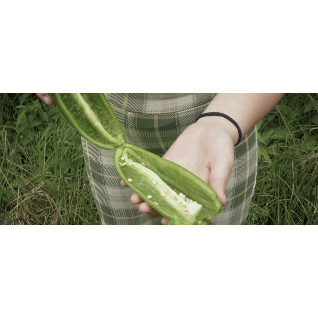 Photogramme du film Le cycle