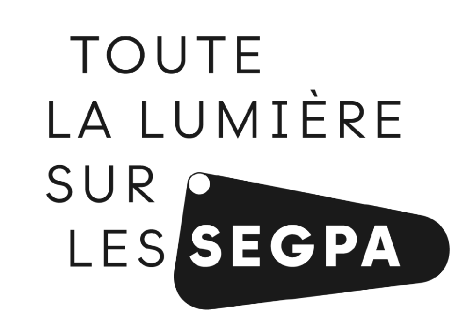 Toutes les lumières sur les SEGPA 